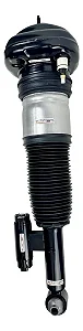 Amortecedor Bolsa Ar Suspensão Traseira LD Bmw 740i 760i 750i 37107915954