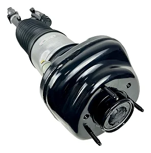 Amortecedor Bolsa Ar Suspensão Traseira LD Bmw 740i 760i