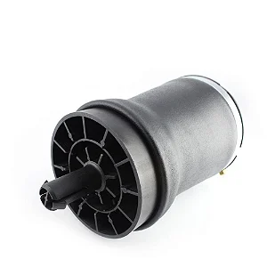 Bolsa Ar Dianteiro LD Land Rover Range Rover LR051700 RNB000740A FELENDO