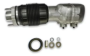 Bolsa Ar Dianteira LD Porsche Panamera 971 975616038C FELENDO