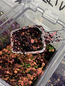 Attina glitter flocado coleção sereia