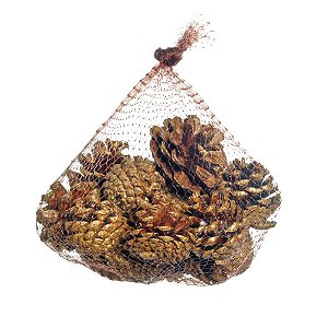Saquinho com Pinhas Natural G 20cm - 01 unidade - Cromus Natal - Rizzo Balões