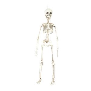 Enfeite Decorativo Halloween - Esqueleto Caveira - 48cm - 01 unidade - Cromus - Rizzo Balões