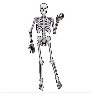 Decoração De Parede Esqueleto Halloween - 1,60 x 35cm - 1 unidade - Regina - Rizzo