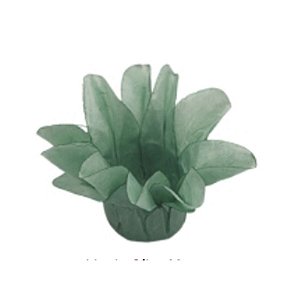 Forminha Para Doces Finos - Estrela do Mar Verde Olivia Matte - 20 unidades - Decora Doces - Rizzo