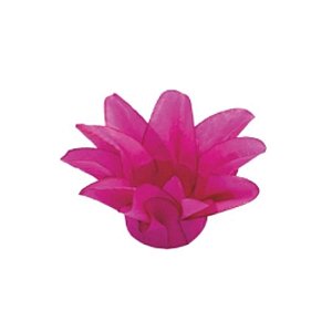 Forminha Para Doces Finos - Estrela do Mar Pink - 20 unidades - Decora Doces - Rizzo