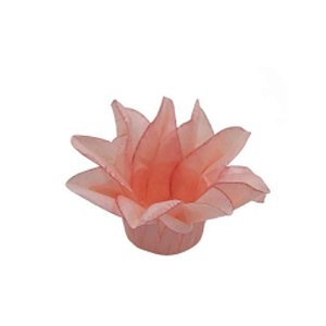 Forminha Para Doces Finos - Estrela do Mar Pêssego - 20 unidades - Decora Doces - Rizzo