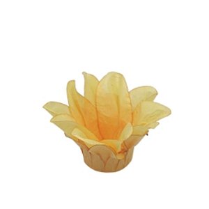 Forminha Para Doces Finos - Estrela do Mar Amarelo Antigo - 20 unidades - Decora Doces - Rizzo