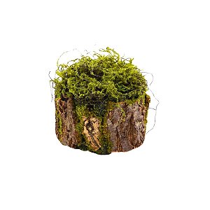 Tronco Decorativo Rústico Musgo P - 14 x17x17cm - 1 unidade - Cromus - Rizzo