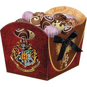 Cachepot Festa Harry Potter - 8 unidades - Festcolor - Rizzo Festas