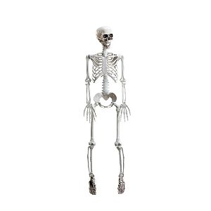 Enfeite Decorativo Halloween - Esqueleto Articulado Xavier - 94cm - 1 unidade - Cromus - Rizzo