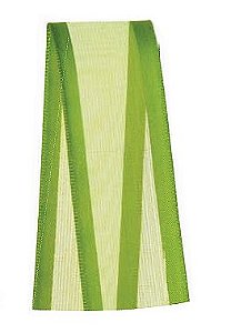 Fita Voal com Cetim Progresso 22mm nº5 - 10m Cor 667 Verde Folha - 01 unidade