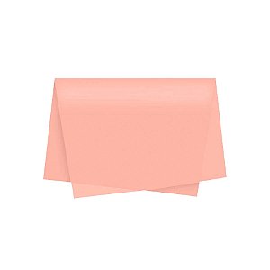 Papel de Seda - 50x70 - Nude - 10 unidades - Rizzo
