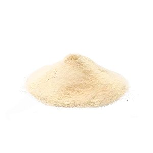 Leite Em Pó 100g - 1 unidade - Rizzo
