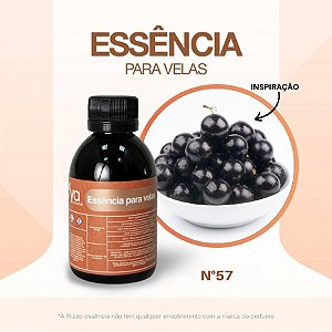 Essência Jabuticaba Concentrada Para Velas N°57 - 100g - 1 unidade - Vya - Rizzo