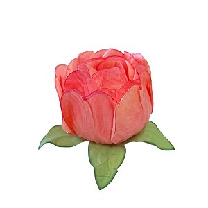 Forminha para Doces Finos - Bela Papaya - 30 unidades - Decora Doces - Rizzo