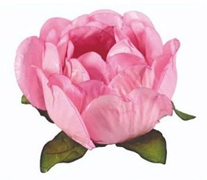 Forminha para Doces Finos - Bela Perola  40 unidades - Decora Doces - Rizzo Festas