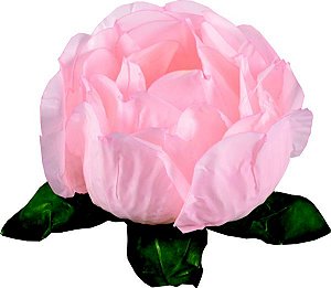 Forminha para Doces Finos - Bela Chá 40 unidades - Decora Doces