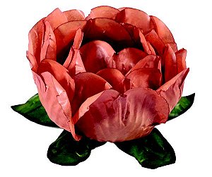 Forminha para Doces Finos - Bela Caramelo 40 unidades - Decora Doces
