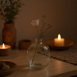 Mini Vaso Orgânico De Vidro - 11,5X8,5X5,5cm - 1 unidade - Rizzo