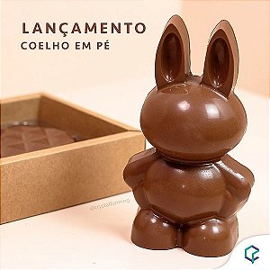 Forma de Acetato Especial - Coelho Grande - Ref. FP167 - 1 unidade - Crystal