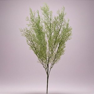 Buque Folha Permanente - Folhagem - Verde - 60cm - 1 unidade - Cromus - Rizzo