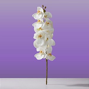 Haste Flor Permanente - Orquídea Phalaenopsis - Branco - 75cm  - 1 unidade - Cromus - Rizzo