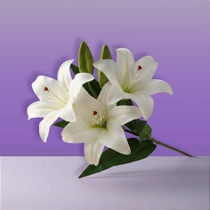 Haste Flor Permanente - Lírio com Folhas - Branco - 68cm - 1 unidade - Cromus - Rizzo