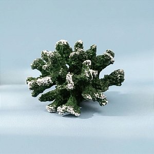 Enfeite Decorativo de Resina - Coral - Verde - 13x8cm - 1 unidade - Rizzo