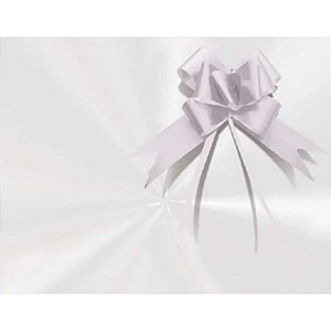Kit Poli Cesta Incolor 72x90cm - 01 unidade - Cromus - Rizzo Embalagens