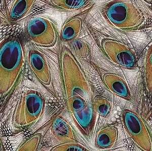 Saco Presente 10x14cm - Pavão - 50 Unidades - Regina - Rizzo