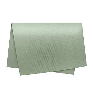 Papel Colméia - 50x50cm - Salvia - 10 unidades - Cromus - Rizzo
