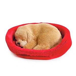Enfeite de Cachorro Golden - Bege e Vermelho - 16cm - 1 unidade - Cromus - Rizzo