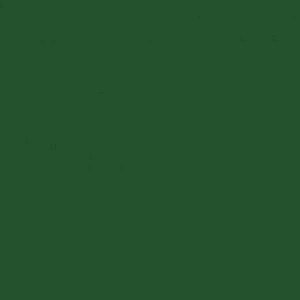 Saco Presente Metalizado Verde Escuro 20x29cm - 50 unidades - Cromus - Rizzo Embalagens