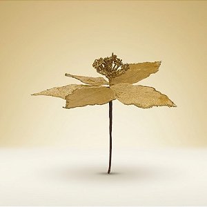 Poinsétia Decorativa - Ouro - 14x13x14cm - 1 unidade - Cromus - Rizzo