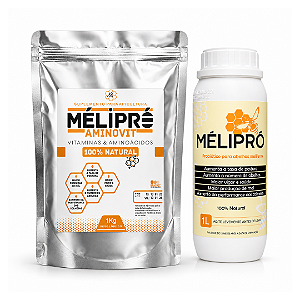 Combo MeliPró – AminoVit Suplemento 1Kg + Aditivo Probiótico 1L