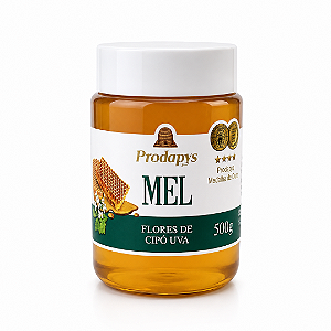 Mel de Flores de Cipó Uva - 500g