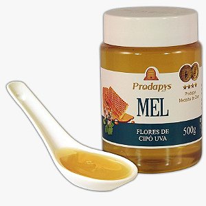 Mel de Flores de Cipó Uva - 500g