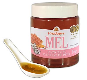Mel de Flores de Canudo de Pito Cremoso - 1kg