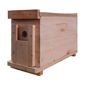 Caixa Isca Núcleo de Madeira com 4 Quadros – Ideal para Captura e Transporte de Enxames