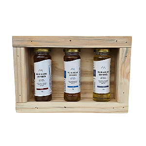 Kit Méis de Abelhas Sem Ferrão – Borá, Mandaçaia e Jataí – 140g Cada