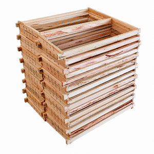 30 Quadros de Ninho Montado e Aramado – Padrão Langstroth