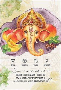 FLORAL GRAN GANESHA | SINCRONICIDADE - 200ml