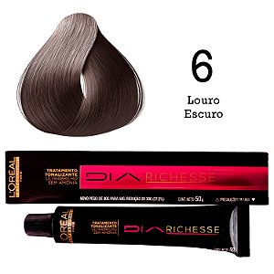 Tonalizante Richesse+revelador 9vol 120ml Loréal Escolha Cor