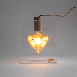 Luminária Coração Apertado Abelhas ®