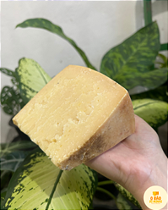 Queijo Artesanal Alagoa Curado 6 meses - Cunha 670g