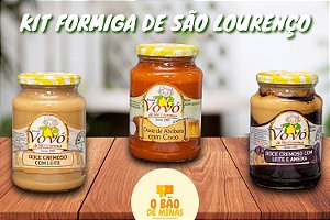 Kit Formiga de São Lourenço