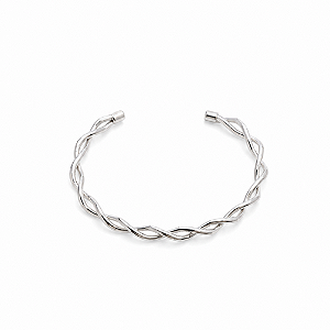 Pulseira Rígida 2 Fios Prata 925