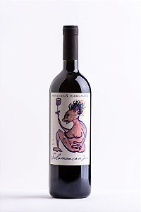 Routhier & Derricarrére Salamanca do Jarau Cabernet Sauvignon safra 2016