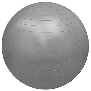 FG20 - BOLA PROFESSIONAL FISIOBALL FISIOPAUHER - 75 CM - CINZA Lote30015I0